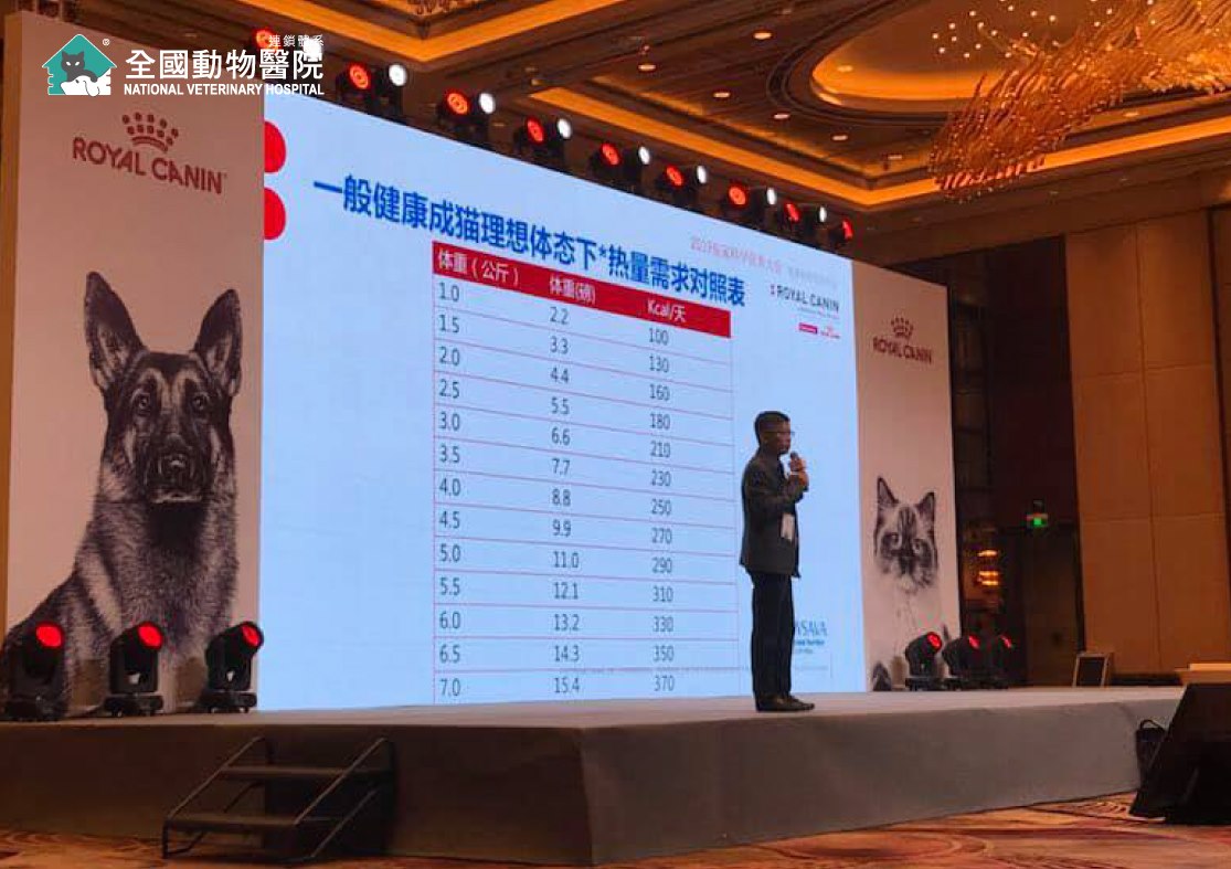 這是一張圖
