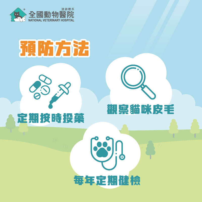 這是一張圖