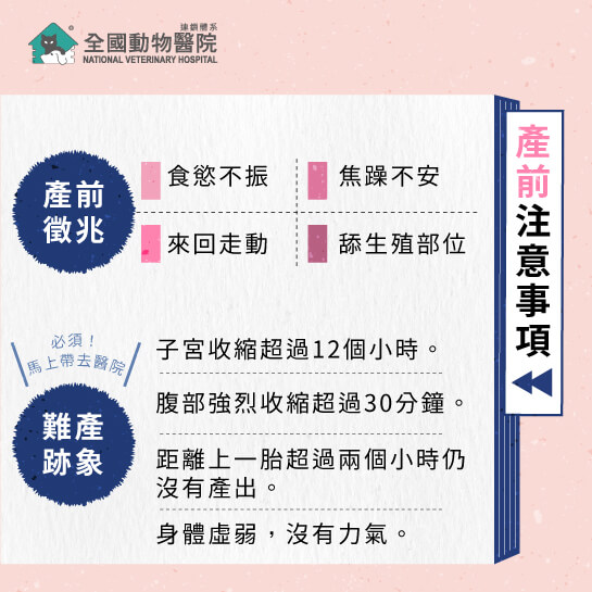 這是一張圖