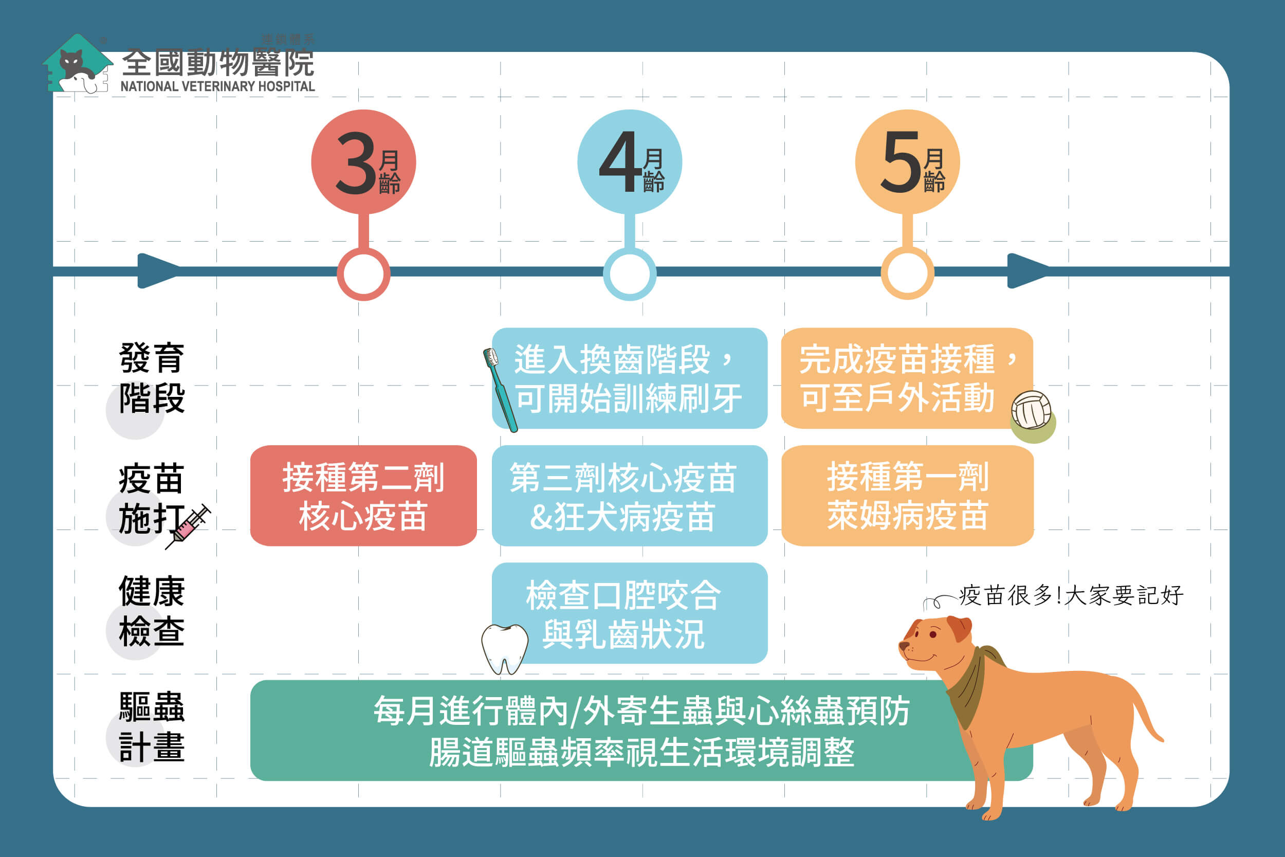 這是一張圖