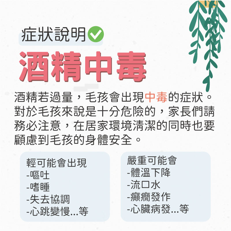 這是一張圖