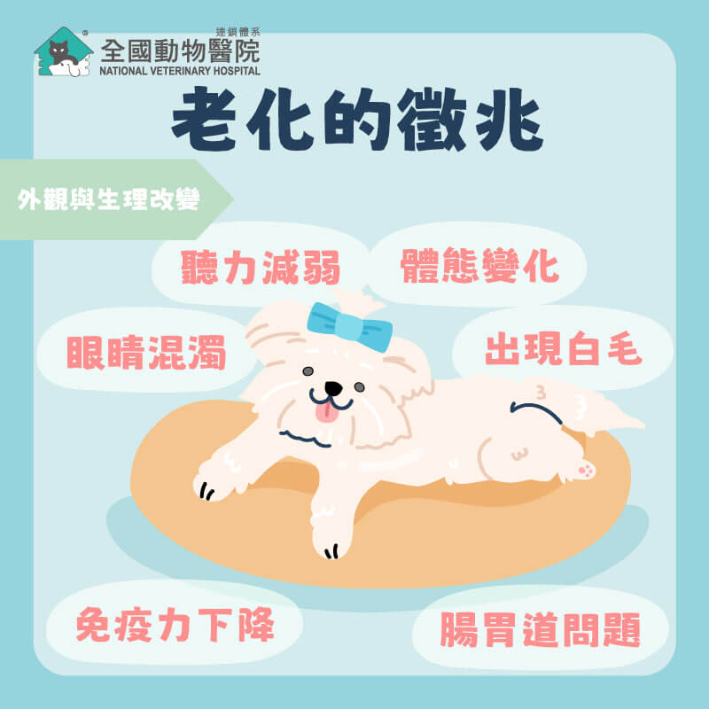 這是一張圖