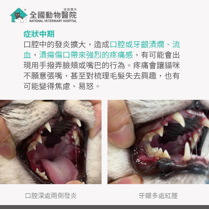 這是一張圖