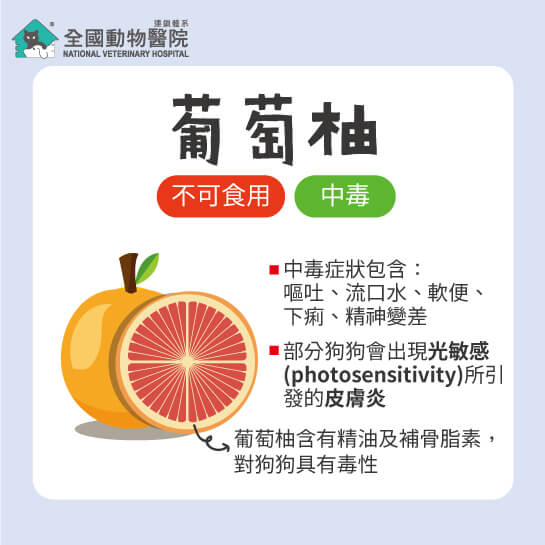 這是一張圖