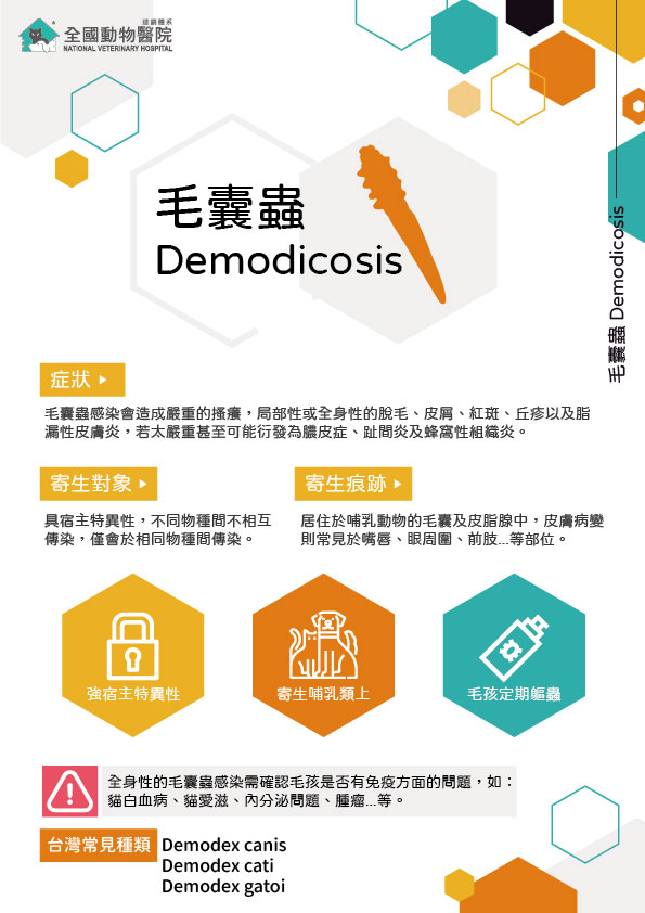 這是一張圖