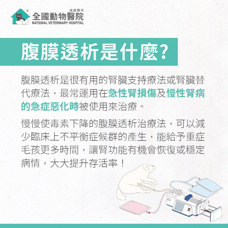 這是一張圖