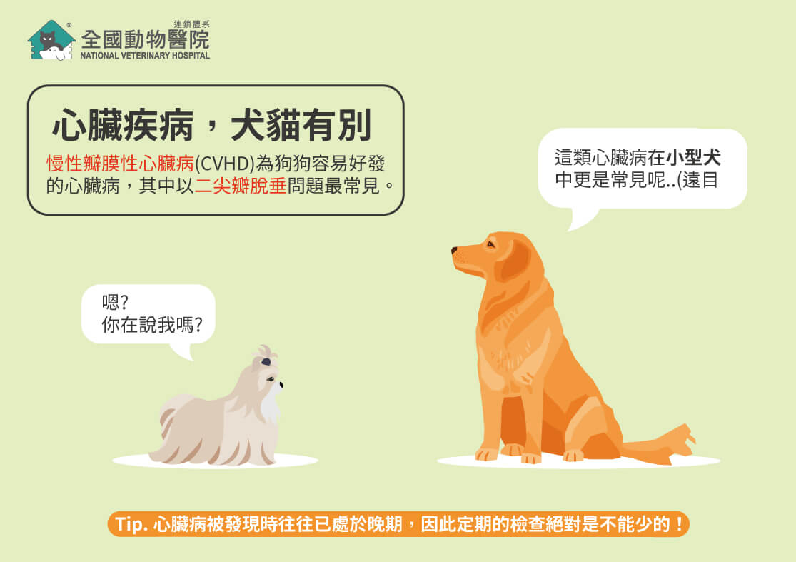 這是一張圖