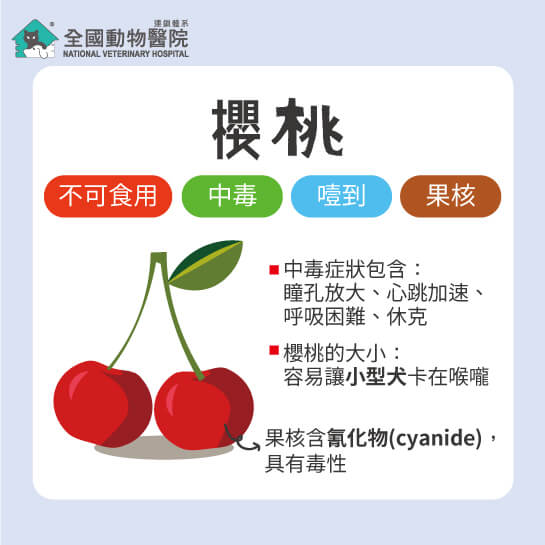 這是一張圖