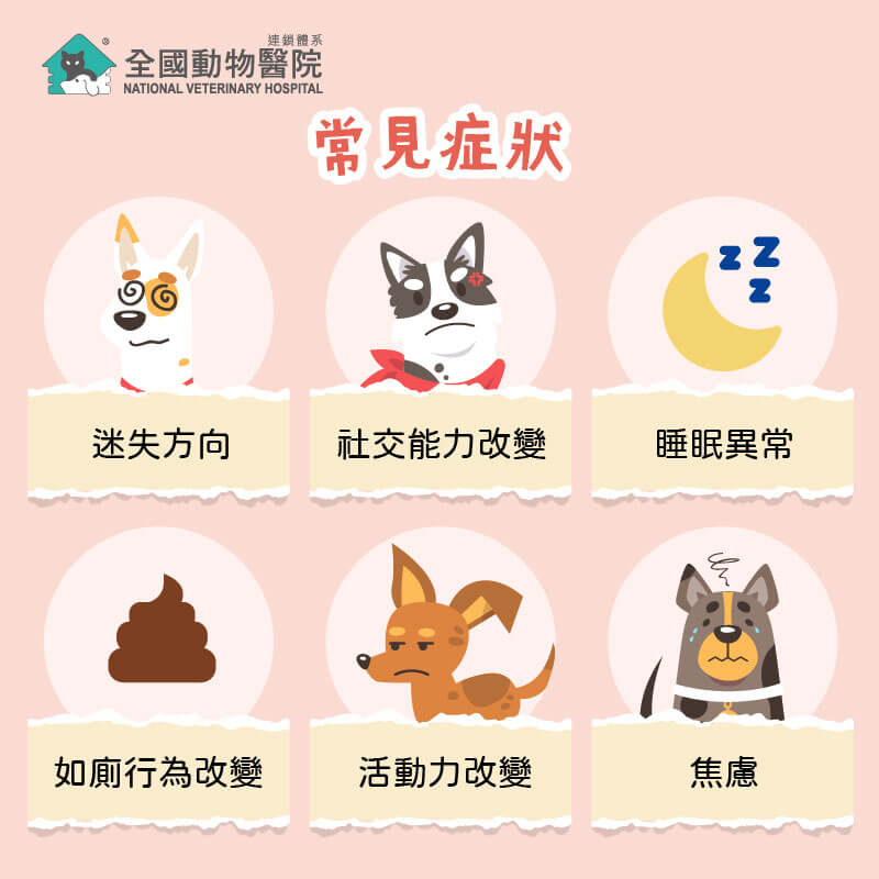 這是一張圖