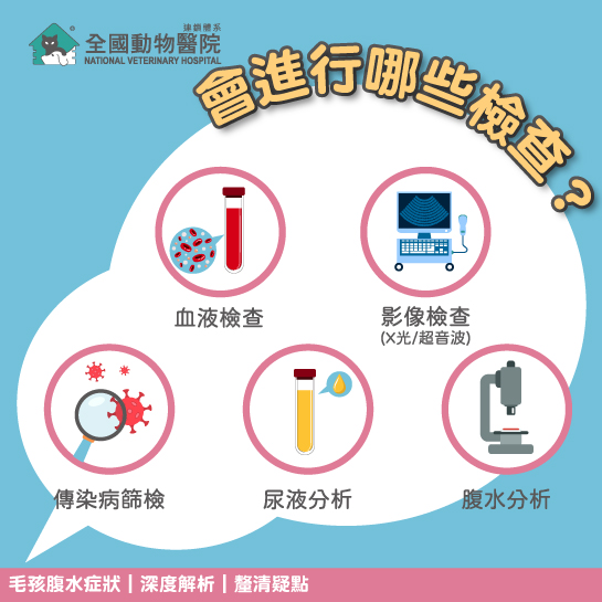 這是一張圖