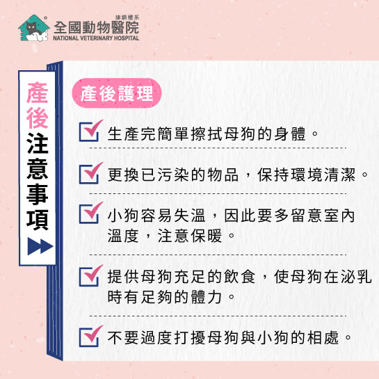 這是一張圖