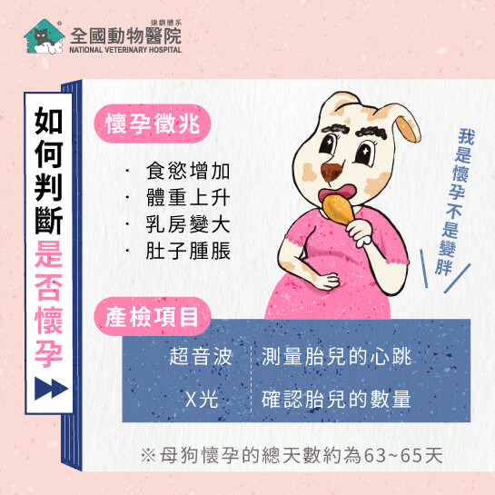 這是一張圖
