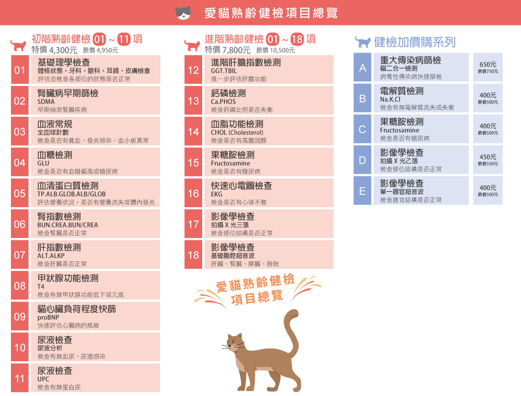 這是一張圖