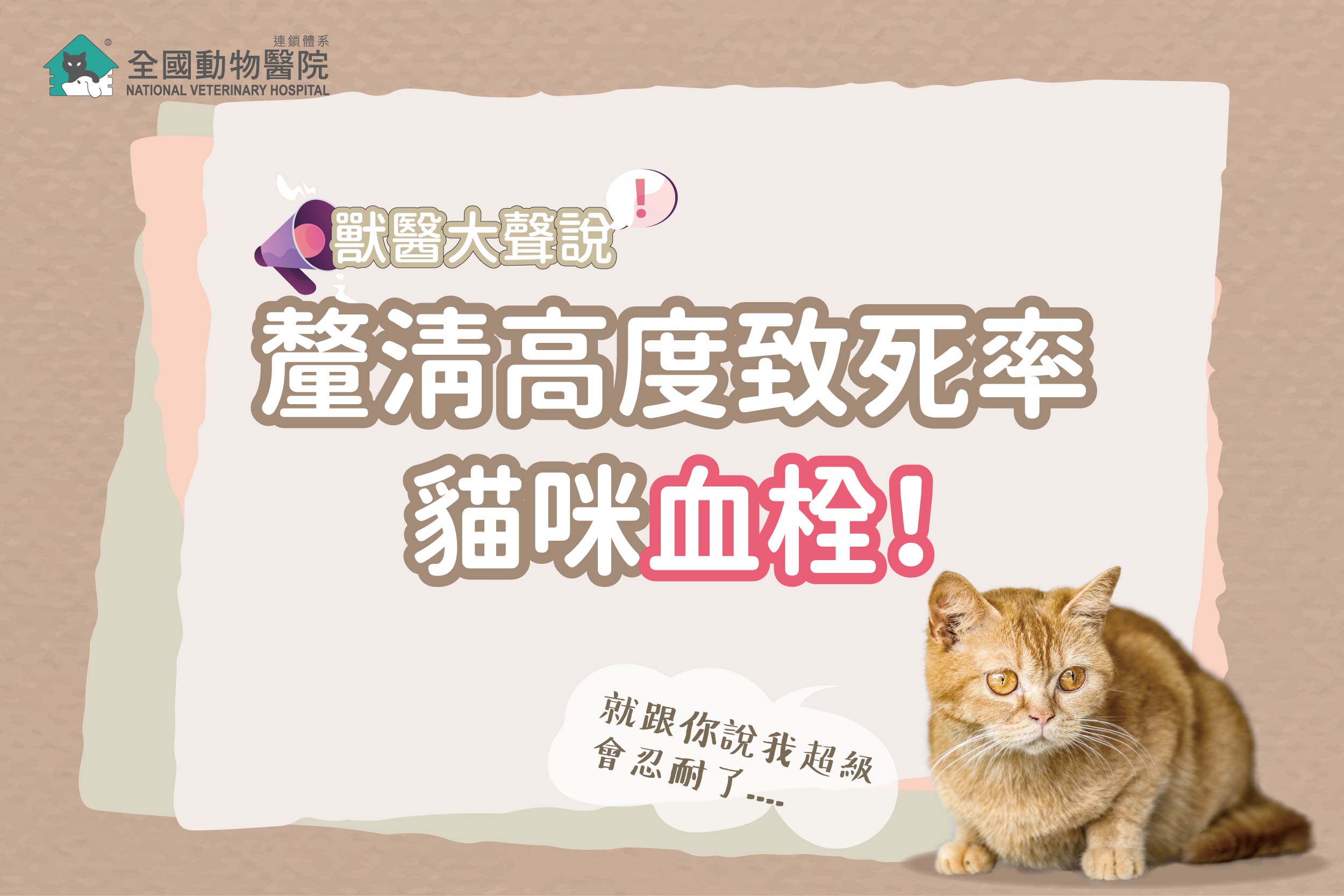 釐清高度致死原因!貓咪血栓比狗狗還常見 全國動物醫院 連鎖體系