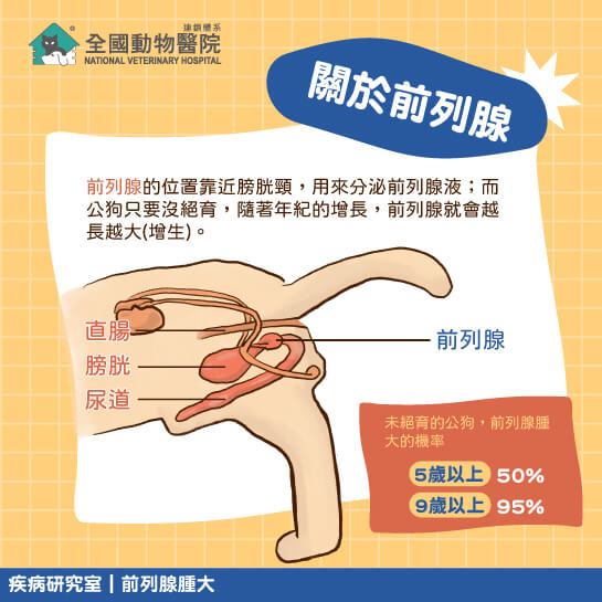 這是一張圖