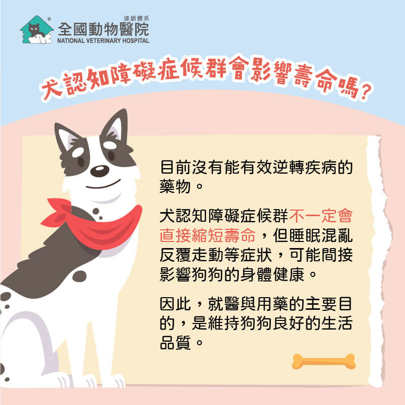 這是一張圖