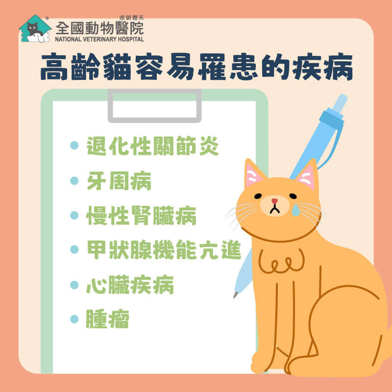 這是一張圖