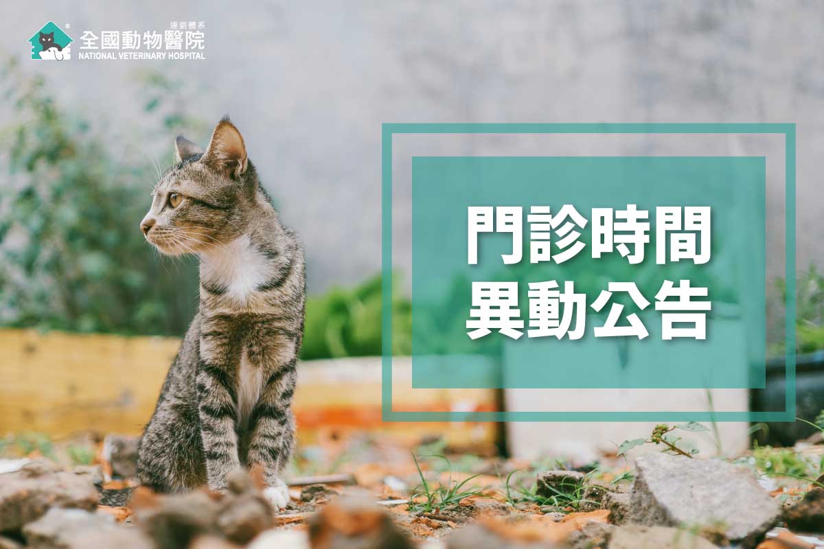 這是一張圖