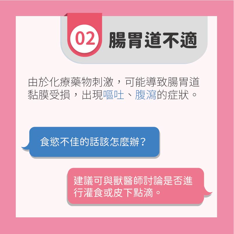 這是一張圖
